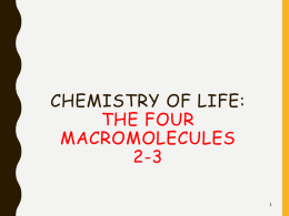 Chemistry of Life: The Four Macromolecules