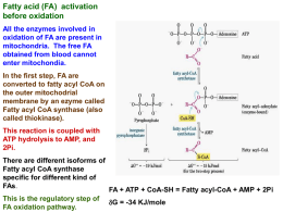 Peroxisomal oxidation of fatty acids