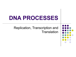 DNA PROCESSES REVIEW