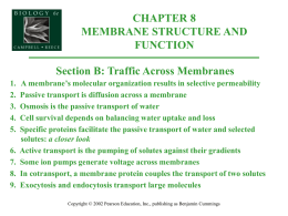 Traffic across membranes