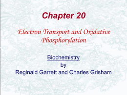 electron transport
