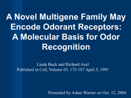 A Novel Multigene Family May Encode Odorant Receptors: A