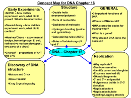 DNA and Protein Synthesis Organizer