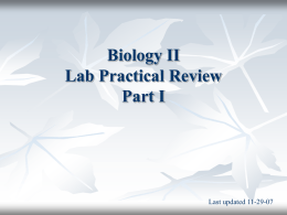 Biology II Lab Practical Review
