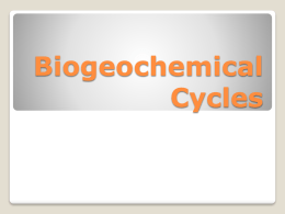 Chemical Cycling