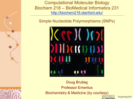 Single Nucleotide Polymorphisms (SNPs)