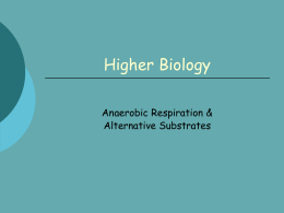 anaerobic-resp