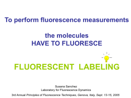 Slide 1 - The Fluorescence Foundation
