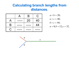 Calculating branch lengths from distances.