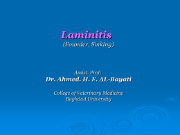 LAMINITIS: (Founder), (Sinking) It is an inflammation of laminae of
