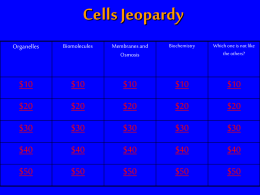 Cells and Biomolecules Jeopardy