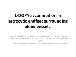 L-DOPA accumulation in astrocytic endfeet surrounding blood