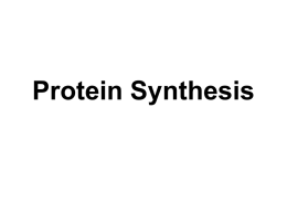 Protein Synthesis - Manhasset Public Schools