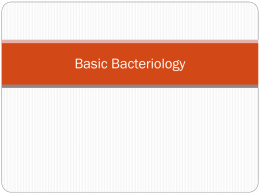 c. Basic Bacteriology
