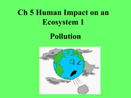 Pollution - Mrs. O` Hehir`s Biology Site