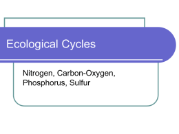 Ecological Cycles