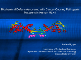 Biochemical Defects Associated with Cancer