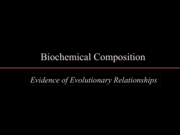 biochemical composition presentation