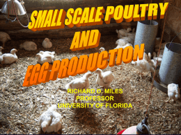 Small Scale Poultry & Egg Production