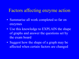 Enzyme Action: Lock and Key Model