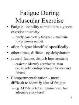 Fatigue During Muscular Exercise