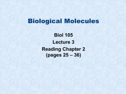 Biological Molecules - Napa Valley College