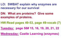 Aim: Why are Enzymes necessary for our survival?