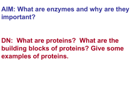 Aim: Why are Enzymes necessary for our survival?