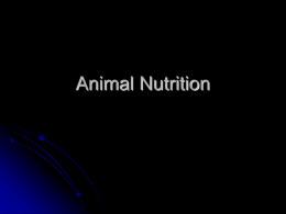 Animal Nutrition - Warren County Schools
