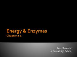 Energy & Enzymes Chapter 2-4