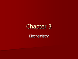 Chapter 5 Molecules of Life