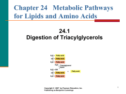 Metabolism and Energy Production