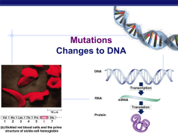 Mutations ppt - Explore Biology