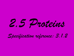 2.5 Proteins
