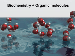 Biochemistry + Organic molecules