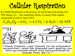 Cell Respiration SAT II Review
