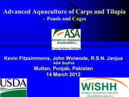 Carp and tilapia in ponds