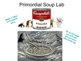 Primordial Soup Lab