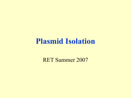 Plasmid Isolation