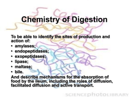 Chemistry of Digestion