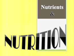 Nutrition - beingfitsocial