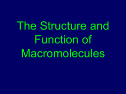 macromolecules powerpoint