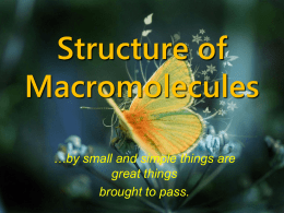 Structure of Macromolecules Dr. Nakhshab