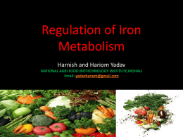 Regulation of Iron Metabolism