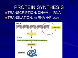student notes protein synthesis mutation