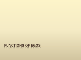 Functions of Eggs