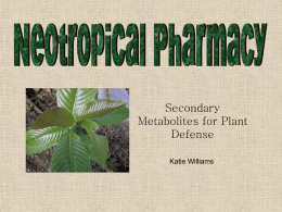 Chapter 6: Neotropical Pharmacy