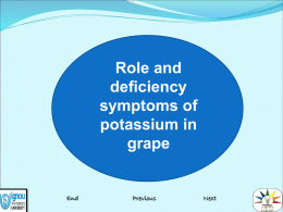 Role and deficiency symptoms of potassium in Mango