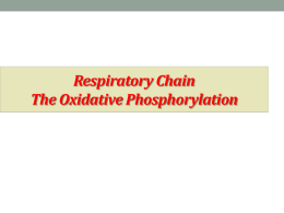 Oxidative phosphorylation (1)