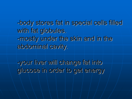 -body stores fat in special cells filled with fat globules.